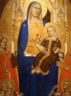 Taddeo Gaddi Madonna in trono tra le Sante 1355